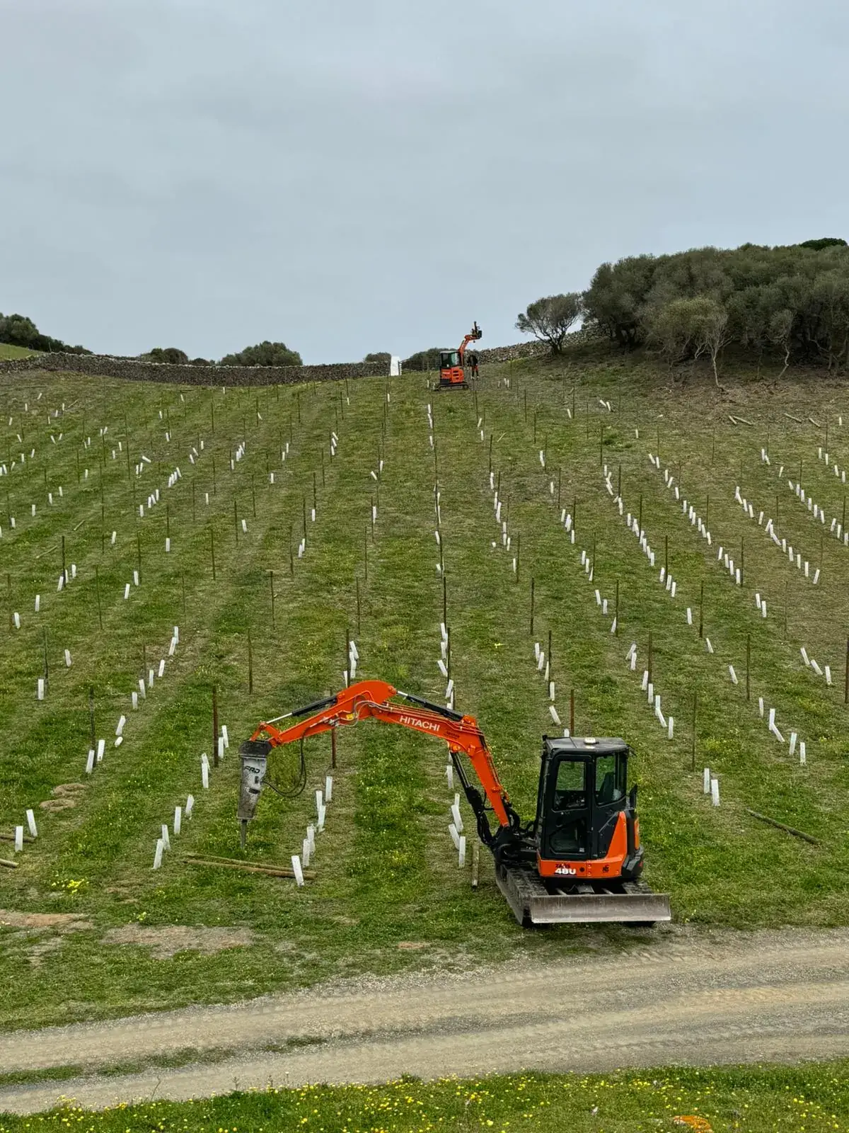 Terreno replanteado con estacas por Lorenzo Excavaciones antes de una obra