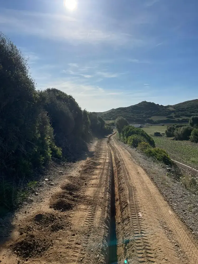 Camino rural recién abierto entre vegetación